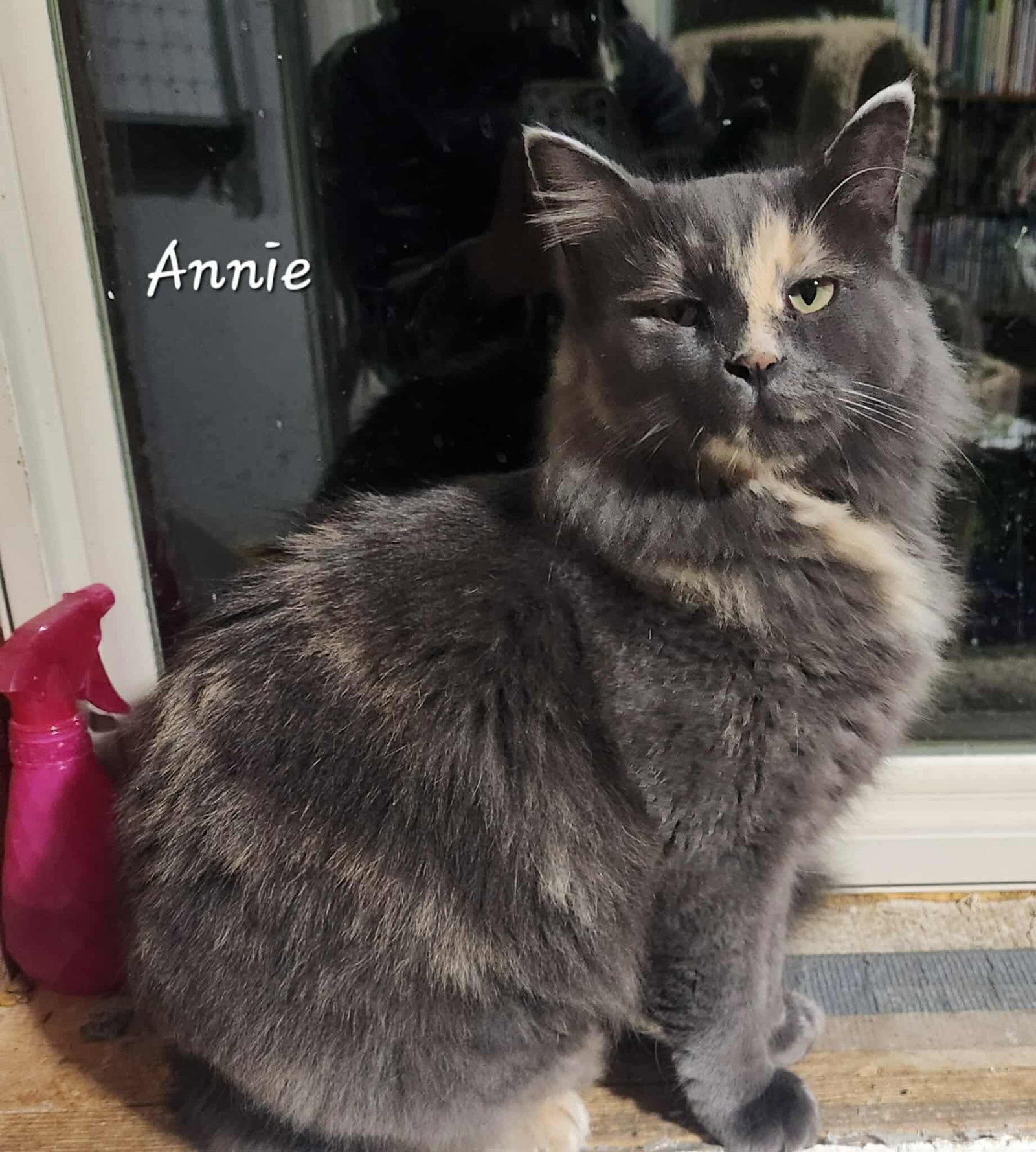 Annie
