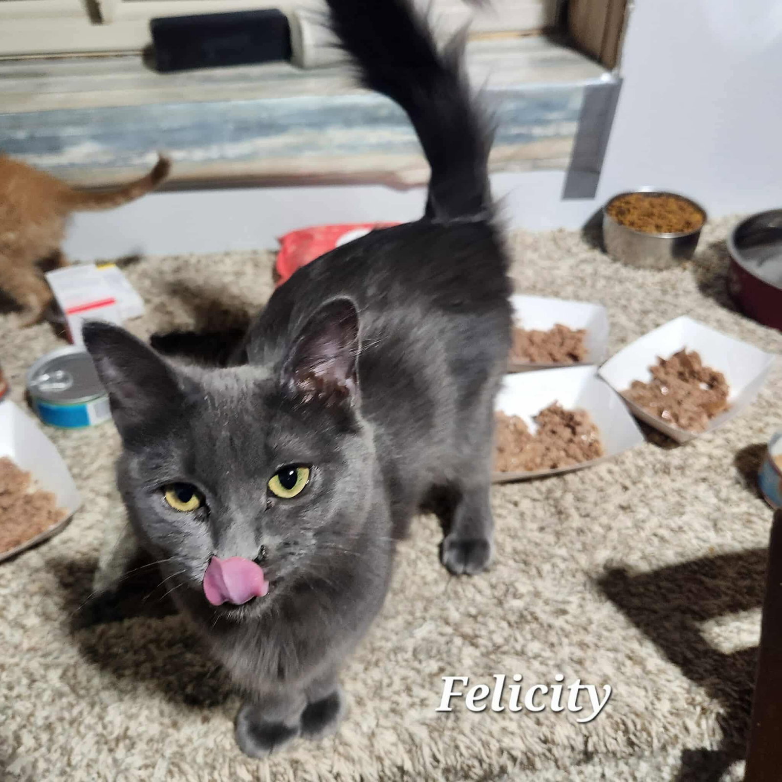 Felicity