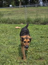 Lucy