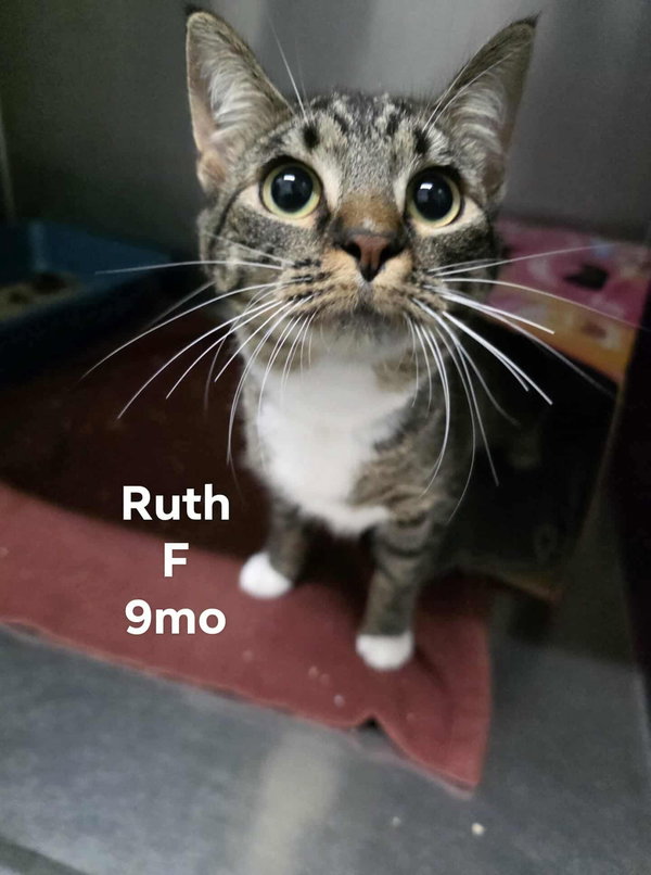 Ruth