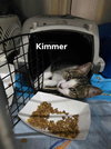Kimmer