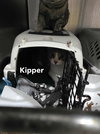Kipper