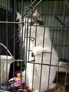 Charlie - Photo 3