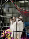Charlie - Photo 8