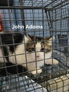 John Adams