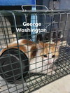 George Washington