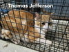 Thomas Jefferson