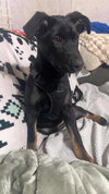 Winnie