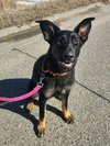 Winnie - Photo 1