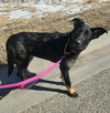 Winnie - Photo 2