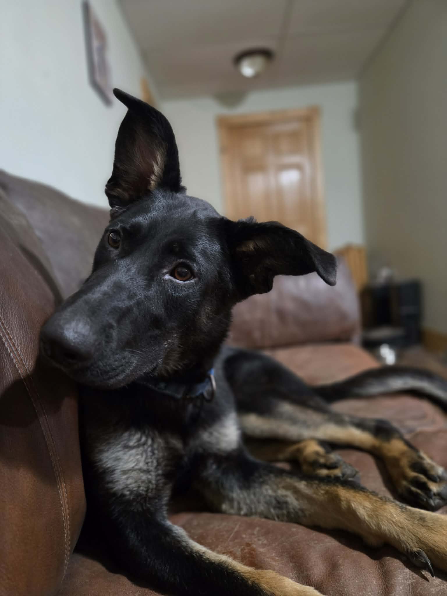 Winnie