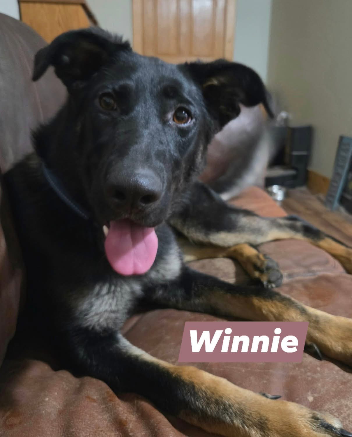Winnie