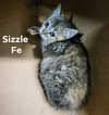 Sizzle