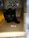 Derry