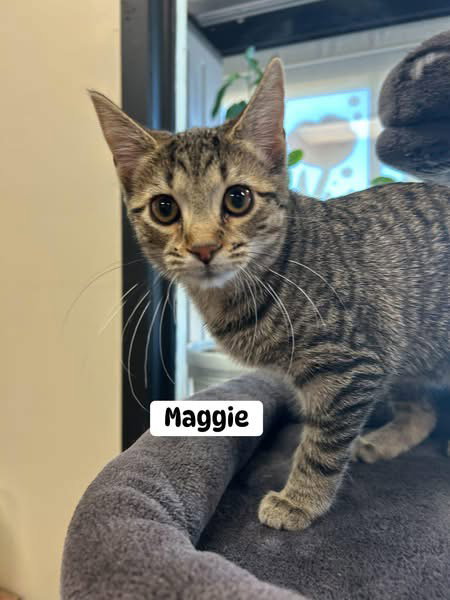 Maggie Mae