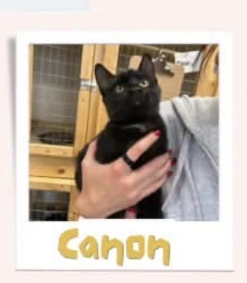 Canon