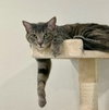 Jack 05-4145 - Photo 2