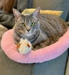 Jill 05-4146 - Photo 2