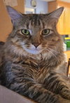 Ellie 07-4320 - Photo 1