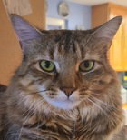 Ellie 07-4320