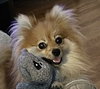 Daisy - Photo 2