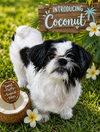 Coconut - Photo 1