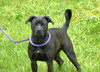 Thor (courtesy post) - Photo 3