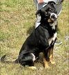 Riggs (courtesy post) - Photo 1