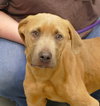 Spike (courtesy post) - Photo 1