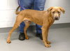 Spike (courtesy post) - Photo 3