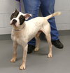 Onyx (courtesy post) - Photo 2