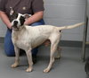 Onyx (courtesy post) - Photo 4