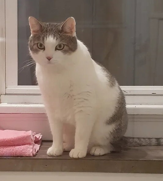 Brian