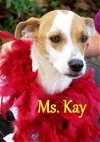 Ms. Kay K92-9075