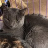 Paisley - Photo 1