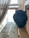 Thalia - Photo 1