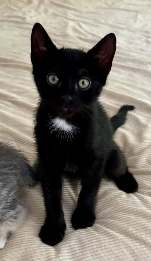 Lenny