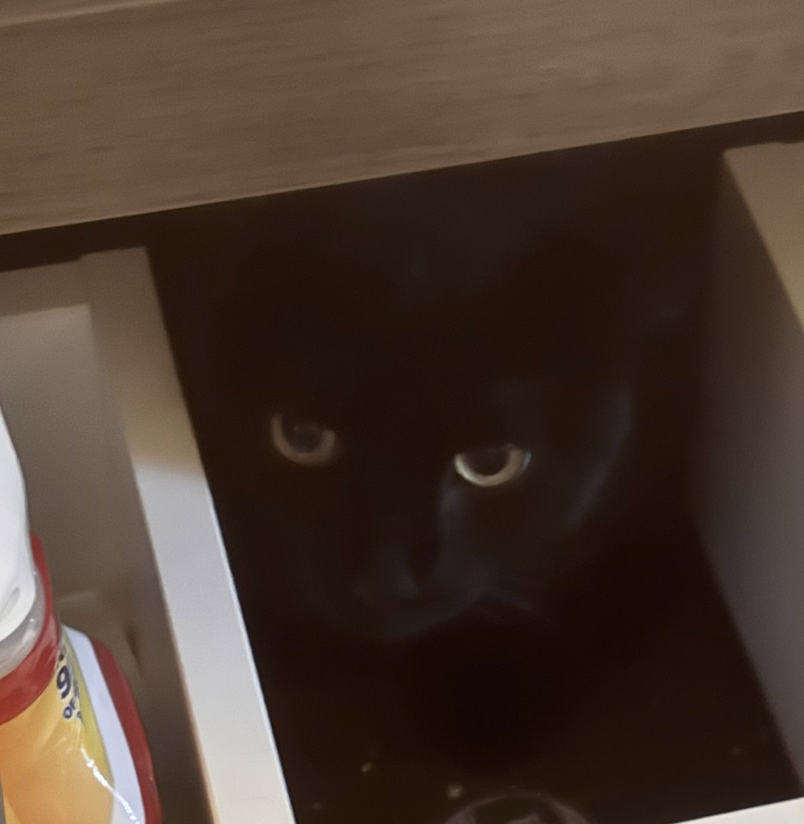 JJ