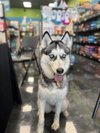 Skylar - Photo 4