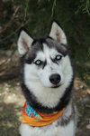 Skylar - Photo 1
