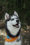 Skylar - Photo 2