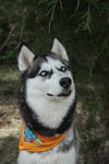 Skylar - Photo 3