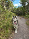 Theo - Photo 2