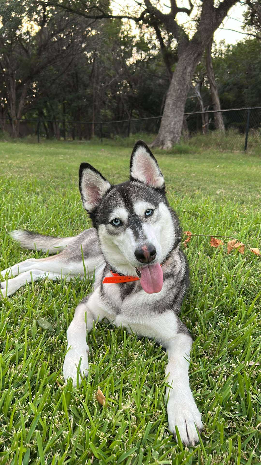 Maggie