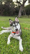 Maggie - Photo 1