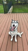 Maggie - Photo 2