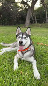 Maggie - Photo 3