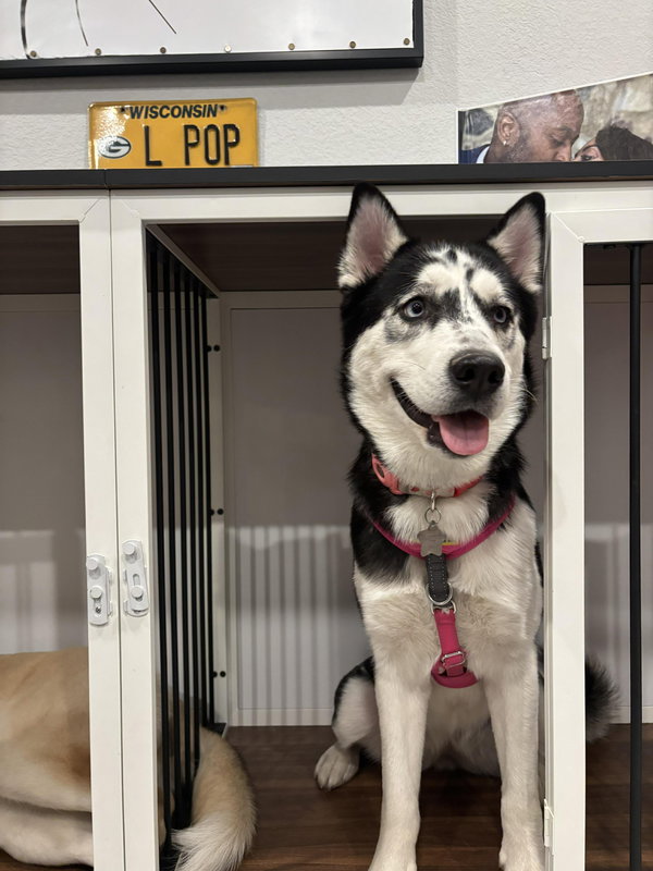 Nova