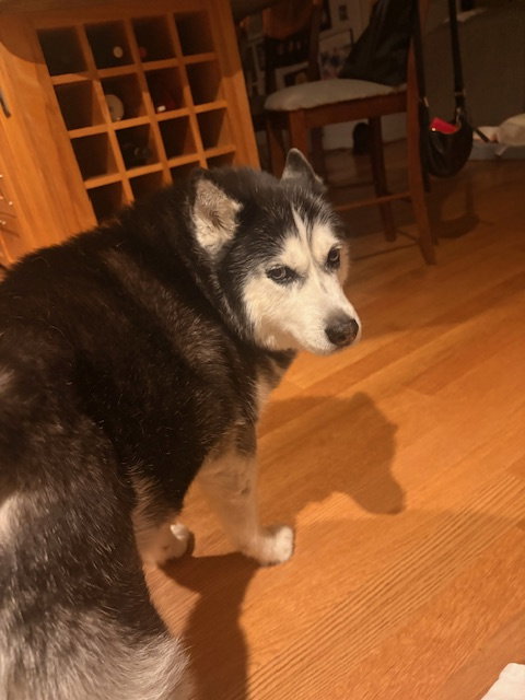 Mia