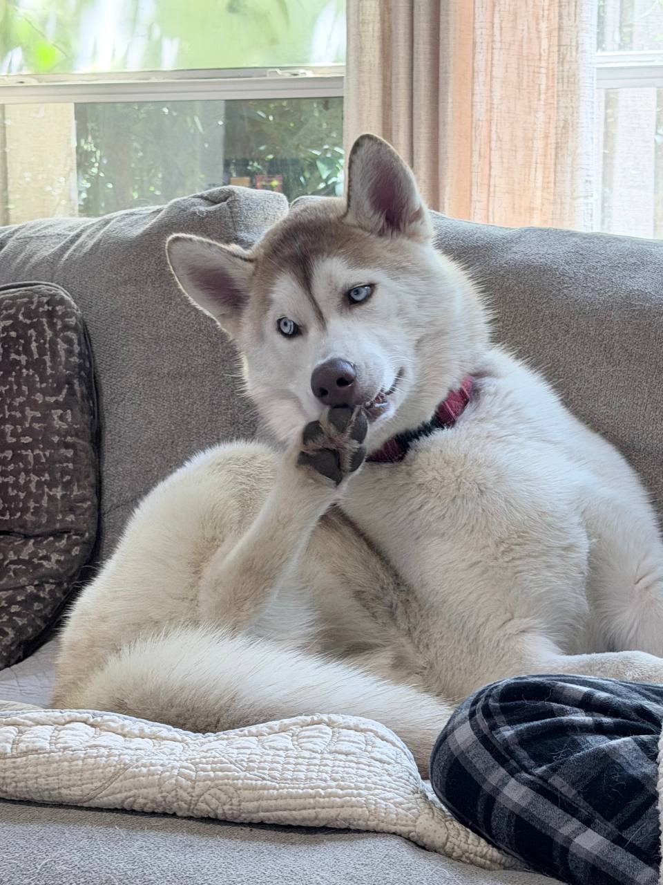 Zeus, photo 2